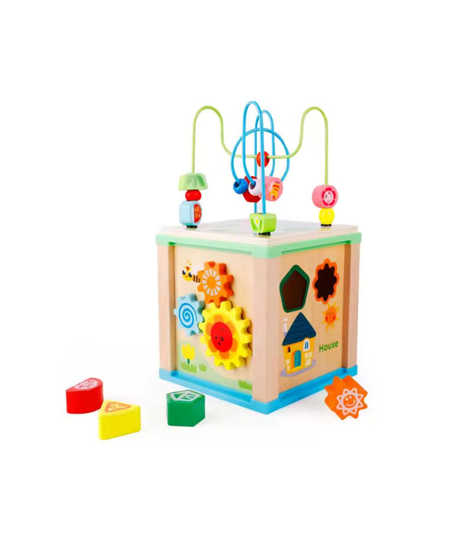 Cub educativ Montessori din lemn 5 in 1