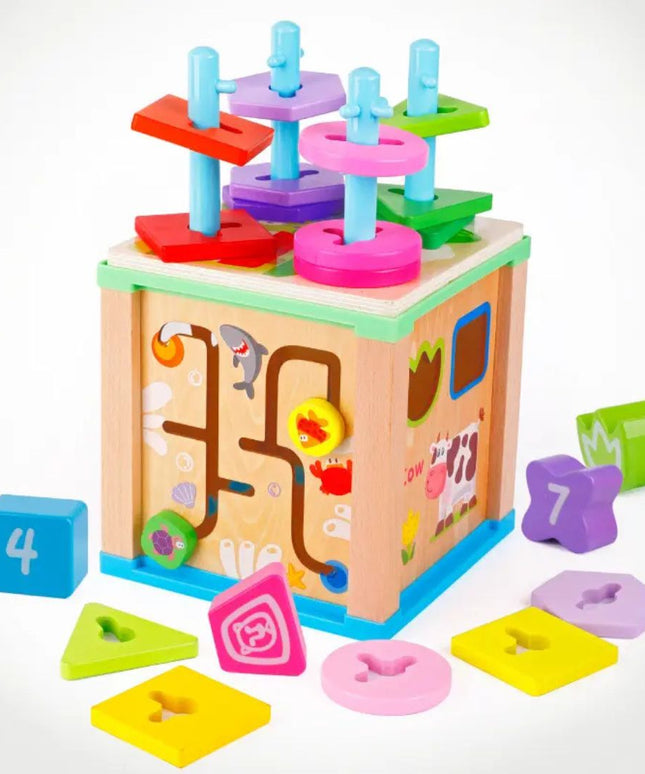 Cub educativ Montessori din lemn 5 in 1