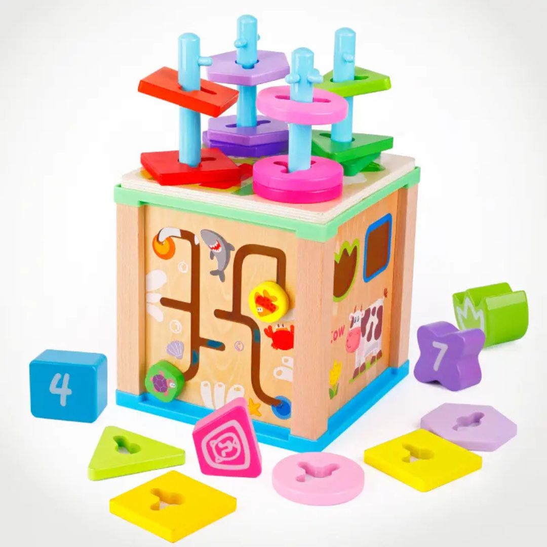 Cub educativ Montessori din lemn 5 in 1