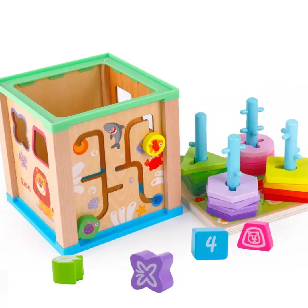 Cub educativ Montessori din lemn 5 in 1