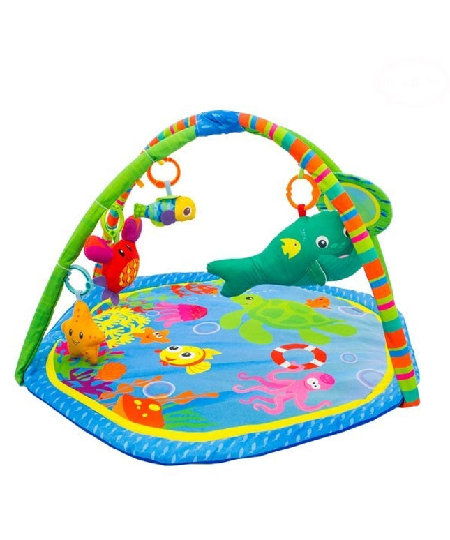 Salteluta de joaca EURObaby 27284