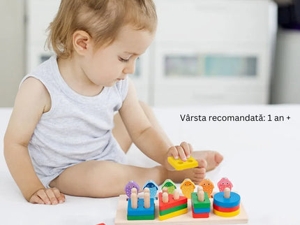 Joc multifuncțional 2 în 1: sortare și pescuit, 2 ani+ - Bebeboo - Totul pentru copii. Jucării, Hăinuțe, Perne, Mobilier, Textile