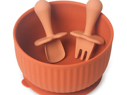 Set bol mancare bebelusi si tacamuri - Salmon, silicon, 6 luni +