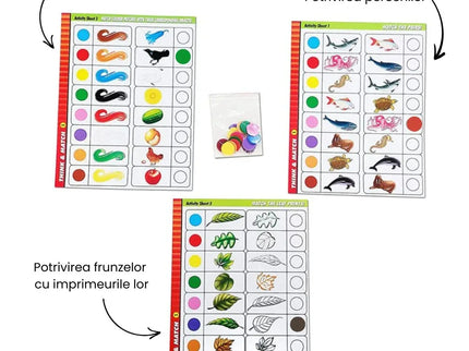 Joc Montessori - Gândește și potrivește Partea 1 - Bebeboo - Totul pentru copii. Jucării, Hăinuțe, Perne, Mobilier, Textile