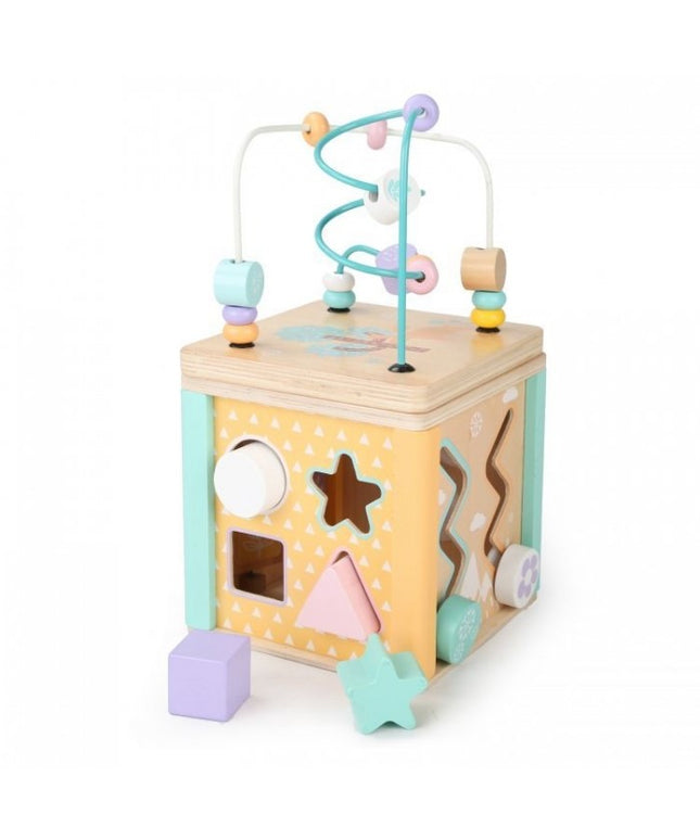 Cub educational din lemn cu labirint si sortator Ecotoys HM015472