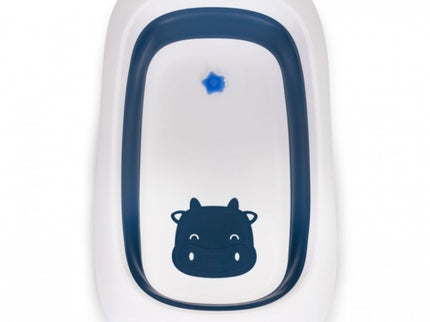 Cadita de baie cu dop de scurgere Ecotoys HA-B31 - Albastru