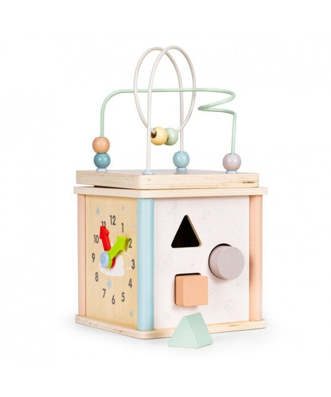 Cub educational din lemn pentru copii Ecotoys 1001