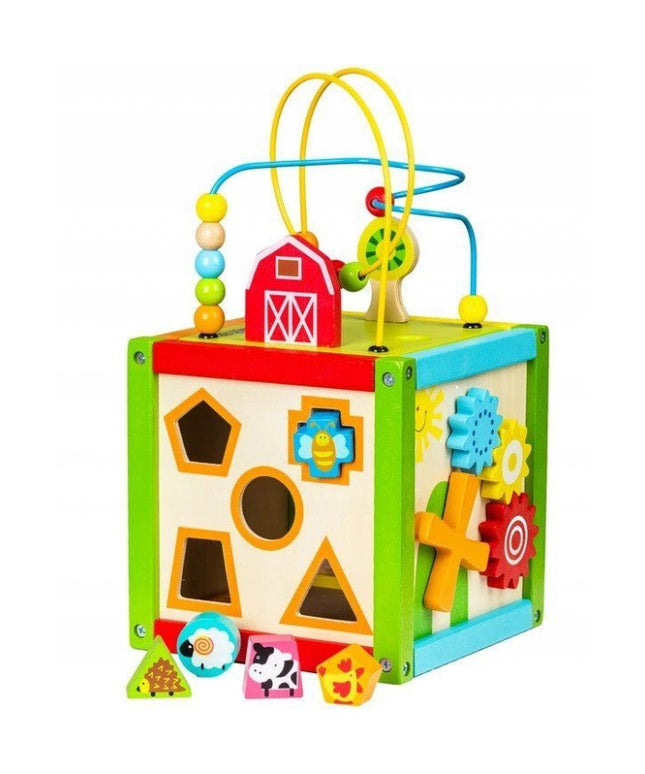 Cub educational din lemn 1004P Ecotoys