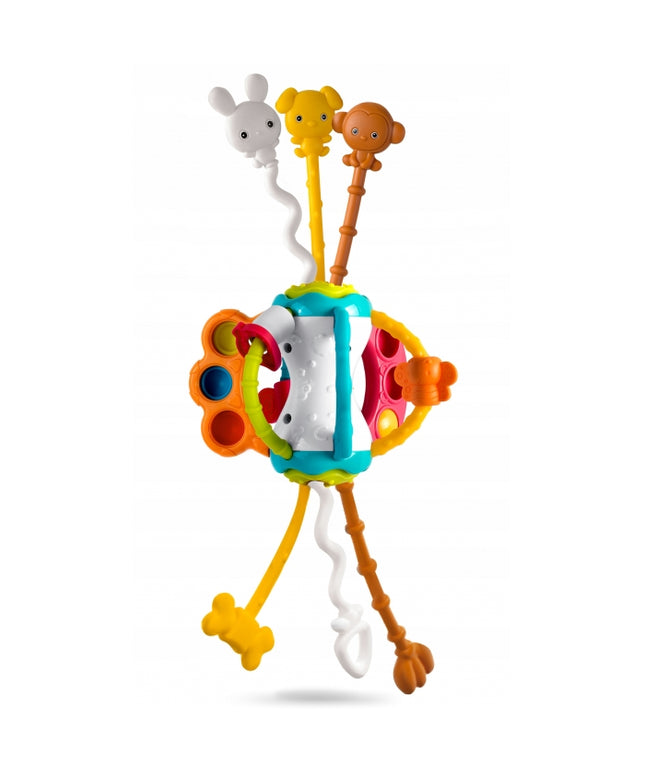 Jucarie senzoriala pentru copii Ricokids RK-750