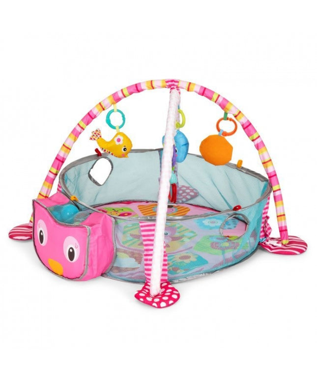 Salteluta de joaca cu bile si jucarii Ecotoys 88970