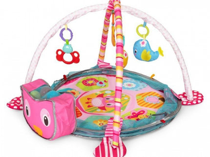 Salteluta de joaca cu bile si jucarii Ecotoys 88970
