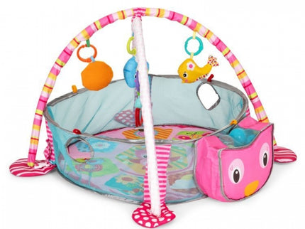 Salteluta de joaca cu bile si jucarii Ecotoys 88970