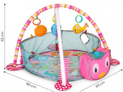 Salteluta de joaca cu bile si jucarii Ecotoys 88970