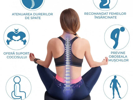 Perna de șezut pentru gravide | Perna Ortopedica Sezut Coccis pentru Scaun - Bebeboo - Totul pentru copii. Jucării, Hăinuțe, Perne, Mobilier, Textile