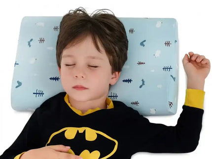 Perna pentru copii Toddler 24+ luni Albastra, Hipoalergenica, din spuma cu memorie - Bebeboo - Totul pentru copii. Jucării, Hăinuțe, Perne, Mobilier, Textile