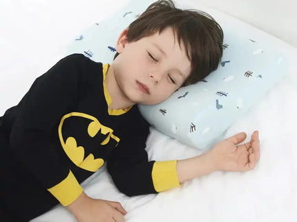Perna pentru copii Toddler 24+ luni Albastra, Hipoalergenica, din spuma cu memorie - Bebeboo - Totul pentru copii. Jucării, Hăinuțe, Perne, Mobilier, Textile
