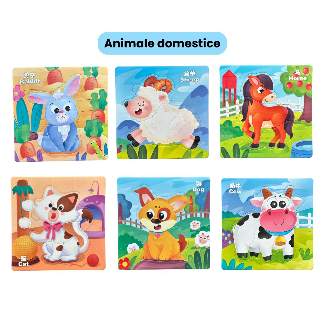 Puzzle 6 în 1 din carton
