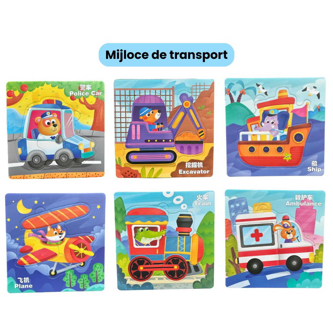 Puzzle 6 în 1 din carton